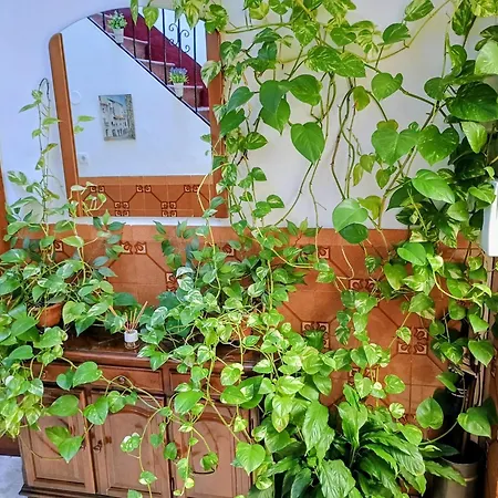 Casa Matbel Appartement